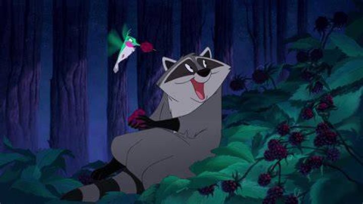 Discover the Magic of the Raccoon from Pocahontas: A Deep Dive into Disney's Beloved Character