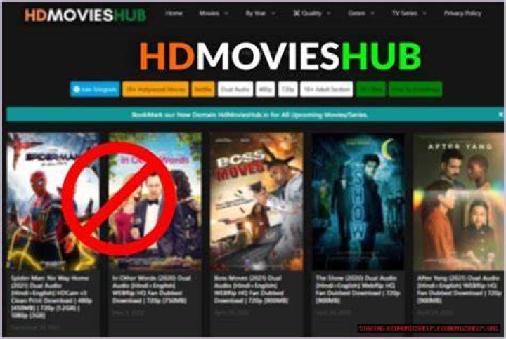 HDMoviesHub 300: The Ultimate Guide to Movies and Entertainment