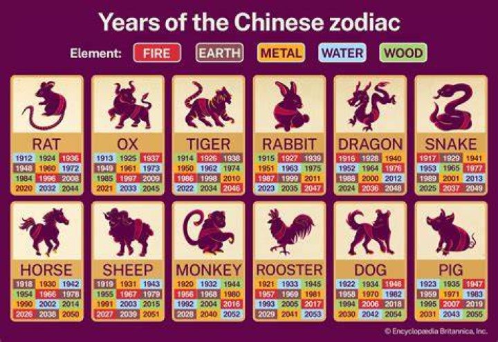 Unveiling the Mysteries of the 1991 Zodiac Year: Insights and Meanings