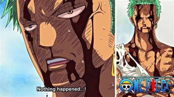 Zoro: Nothing Happened? | Hidden Story?